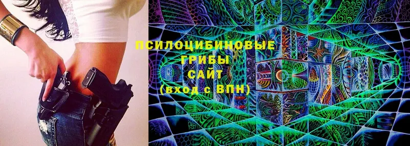 Галлюциногенные грибы Psilocybe Томск